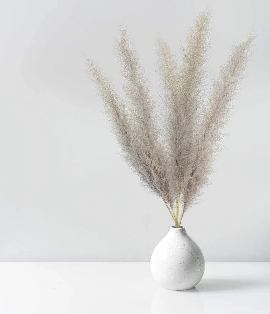Beautiful Dried Pampas Grass Boquet -  - #tag1#