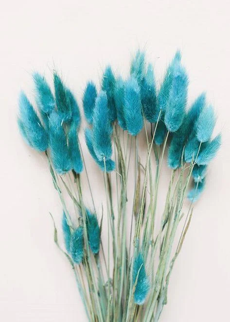 Beautiful Dried Pampas Grass Boquet -  - #tag1#