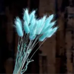 Beautiful_Dried_Pampas_Grass_Boquet_-_-_tag1_-4147780 Beautiful Dried Pampas Grass Boquet tag1