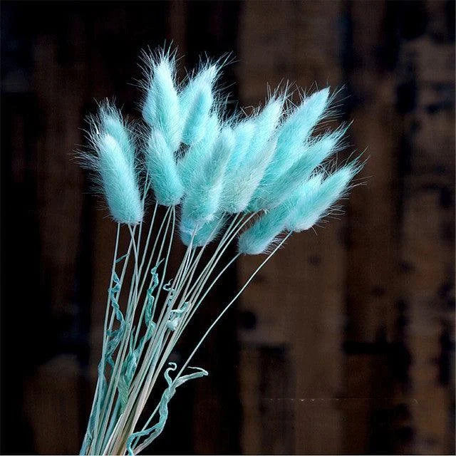Beautiful Dried Pampas Grass Boquet -  - #tag1#