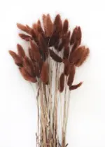 Beautiful_Dried_Pampas_Grass_Boquet_-_-_tag1_-4147788 Beautiful Dried Pampas Grass Boquet tag1