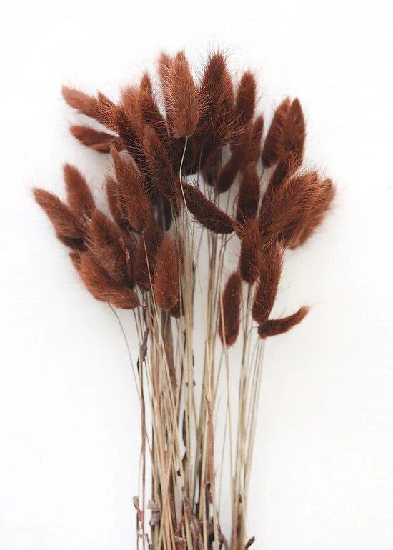 Beautiful Dried Pampas Grass Boquet -  - #tag1#