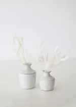Beautiful_Dried_Pampas_Grass_Boquet_-_-_tag1_-4147794 Beautiful Dried Pampas Grass Boquet tag1