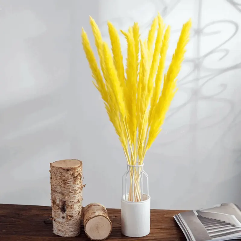 Beautiful Dried Pampas Grass Boquet tag1