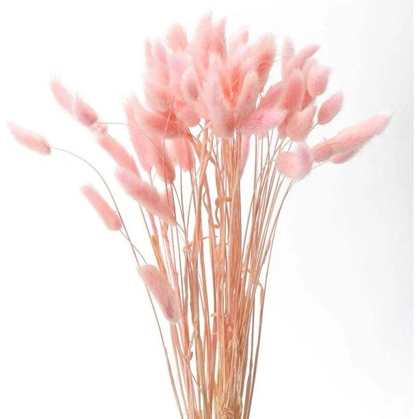 Beautiful Dried Pampas Grass Boquet -  - #tag1#