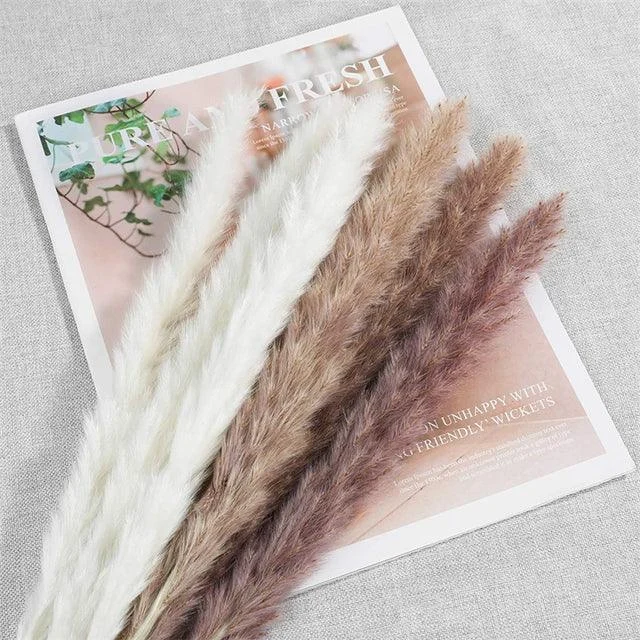 Beautiful Dried Pampas Grass Boquet -  - #tag1#