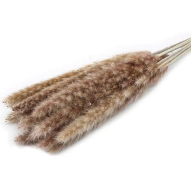 Beautiful Dried Pampas Grass Boquet -  - #tag1#