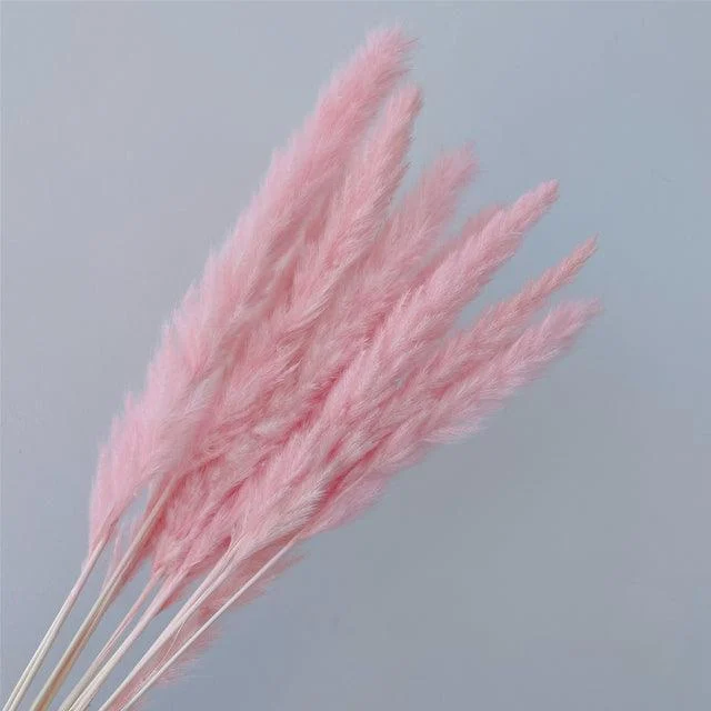 Beautiful Dried Pampas Grass Boquet -  - #tag1#