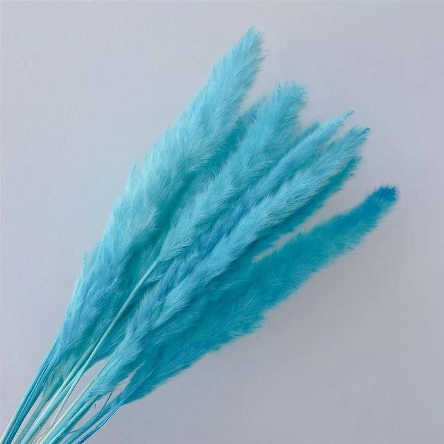 Beautiful Dried Pampas Grass Boquet -  - #tag1#