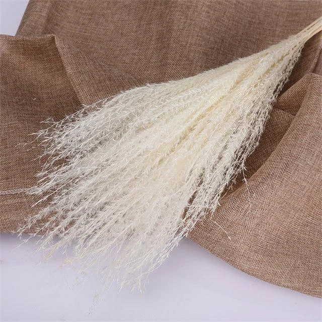 Beautiful Dried Pampas Grass Boquet -  - #tag1#