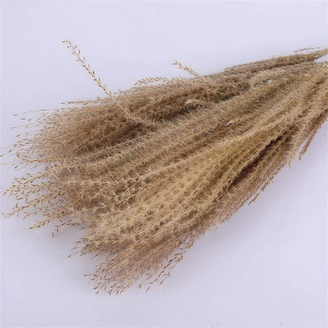 Beautiful Dried Pampas Grass Boquet -  - #tag1#