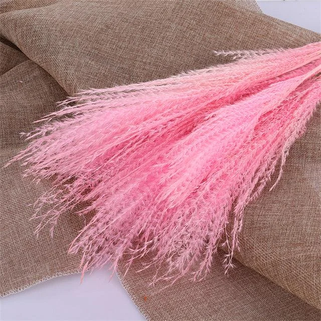 Beautiful Dried Pampas Grass Boquet -  - #tag1#