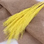 Beautiful_Dried_Pampas_Grass_Boquet_-_-_tag1_-4147906 Beautiful Dried Pampas Grass Boquet tag1