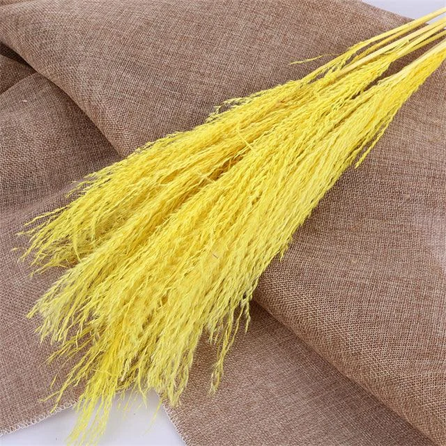 Beautiful Dried Pampas Grass Boquet -  - #tag1#