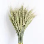 Beautiful_Dried_Pampas_Grass_Boquet_-_-_tag1_-4147915 Beautiful Dried Pampas Grass Boquet tag1