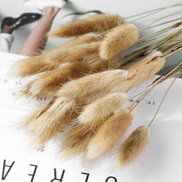 Beautiful Dried Pampas Grass Boquet -  - #tag1#