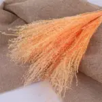 Beautiful_Dried_Pampas_Grass_Boquet_-_-_tag1_-4147937 Beautiful Dried Pampas Grass Boquet tag1