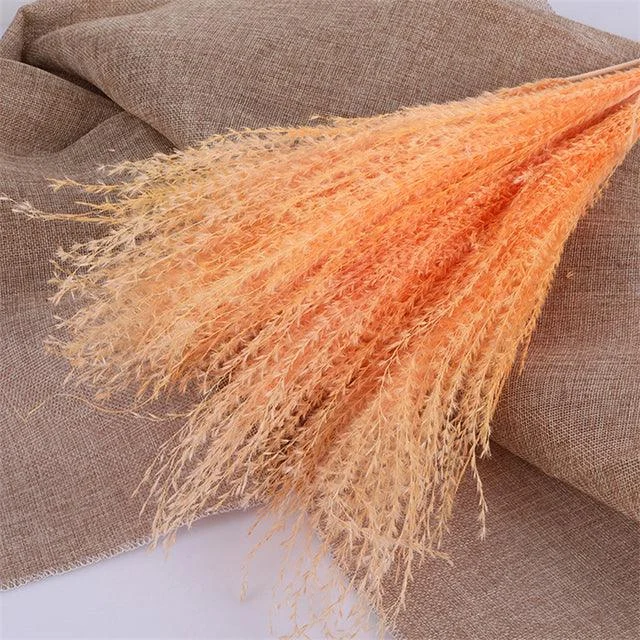 Beautiful Dried Pampas Grass Boquet -  - #tag1#