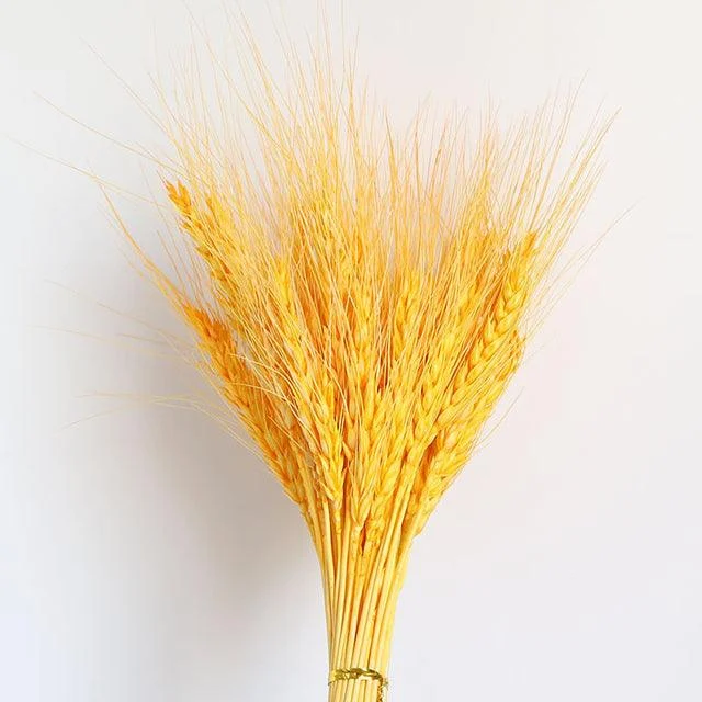 Beautiful Dried Pampas Grass Boquet -  - #tag1#