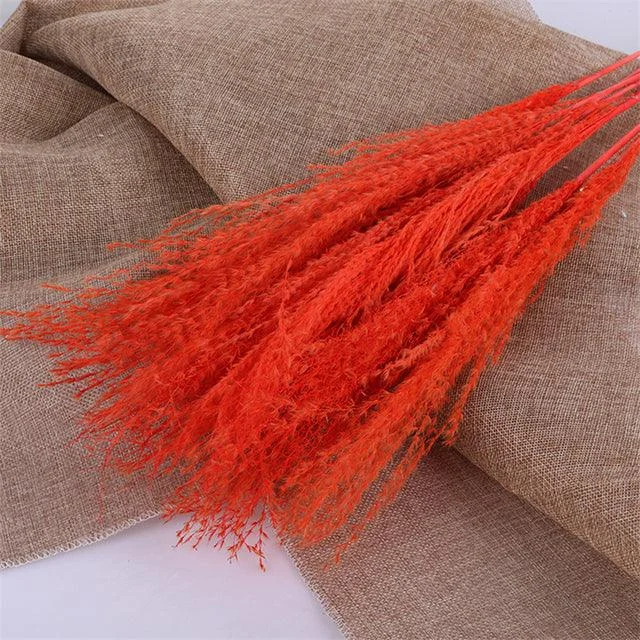 Beautiful Dried Pampas Grass Boquet -  - #tag1#