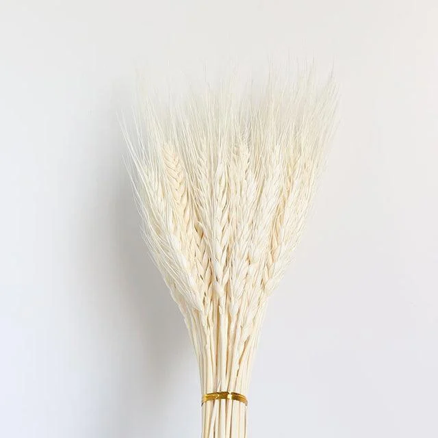 Beautiful Dried Pampas Grass Boquet -  - #tag1#