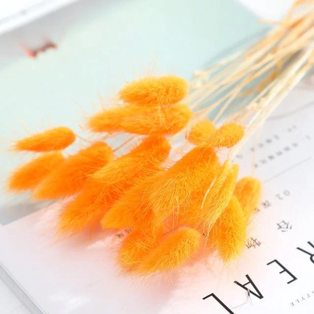 Beautiful Dried Pampas Grass Boquet -  - #tag1#