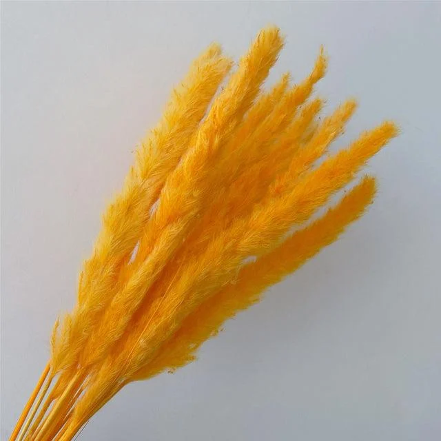 Beautiful Dried Pampas Grass Boquet -  - #tag1#