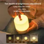 Bedside Lamp Lumina USB Touch Dimming LED Night Light tag1