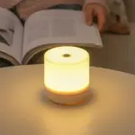 Bedside Lamp Lumina USB Touch Dimming LED Night Light tag1