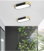 Bellarose LED Ceiling Light tag1