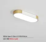 Bellarose LED Ceiling Light tag1