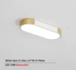 Bellarose LED Ceiling Light tag1