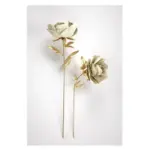 Biarresa Canvas