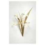 Biarresa Canvas