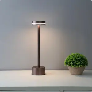 Modern dimmable induction table lamp