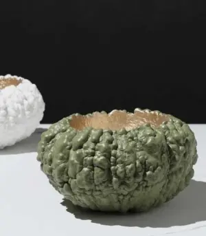 Bitter Gourd Bumpy Texture Decorative Bowl 18cm