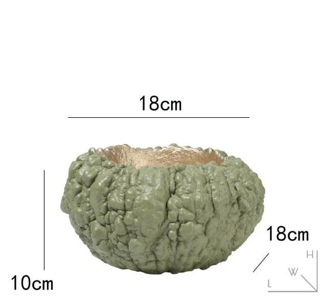 Bitter Gourd Bumpy Texture Decorative Bowl 18cm -  - #tag1#