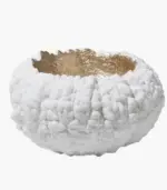 Bitter_Gourd_Bumpy_Texture_Decorative_Bowl_18cm_-_-_tag1_-4151176 Bitter Gourd Bumpy Texture Decorative Bowl 18cm tag1