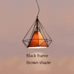 BlackFrameBrownSHade