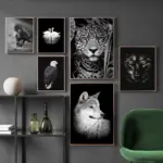 Black_White_Wildlife_-_-_tag1_-4151342 Black White Wildlife tag1