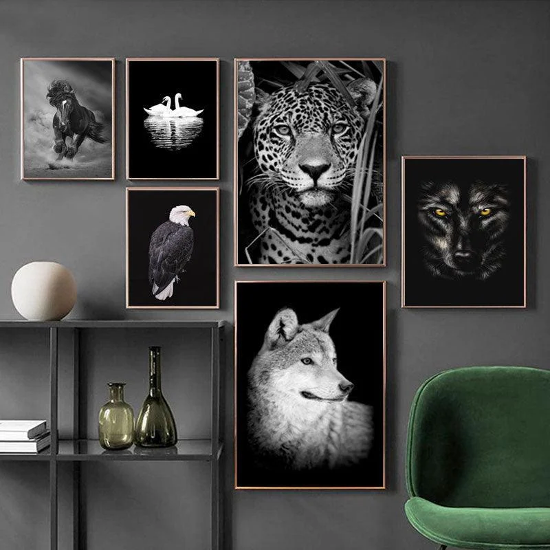 Black & White Wildlife -  - #tag1#
