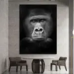 Black_White_Wildlife_-_-_tag1_-4151347 Black White Wildlife tag1