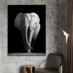 Black_White_Wildlife_-_-_tag1_-4151354 Black White Wildlife tag1