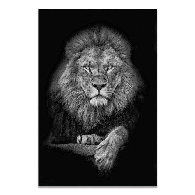 Black & White Wildlife -  - #tag1#