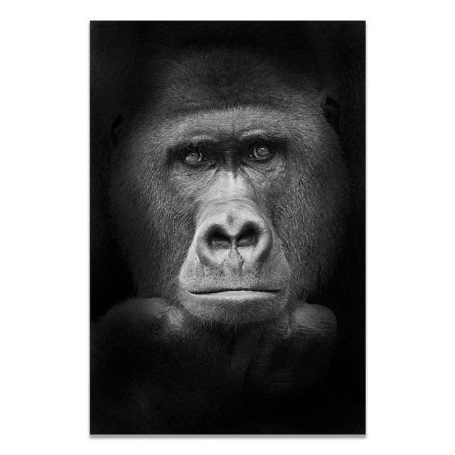 Black & White Wildlife -  - #tag1#