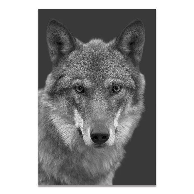 Black & White Wildlife -  - #tag1#