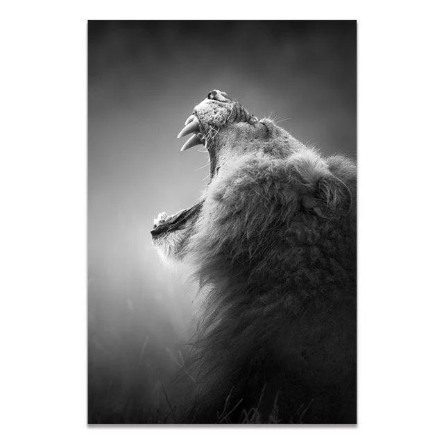 Black & White Wildlife -  - #tag1#