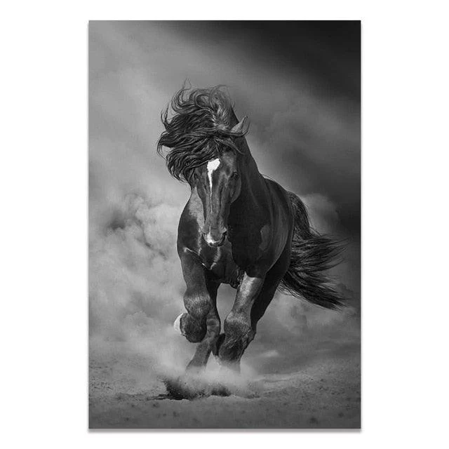 Black & White Wildlife -  - #tag1#