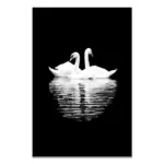 Black_White_Wildlife_-_-_tag1_-4151405 Black White Wildlife tag1