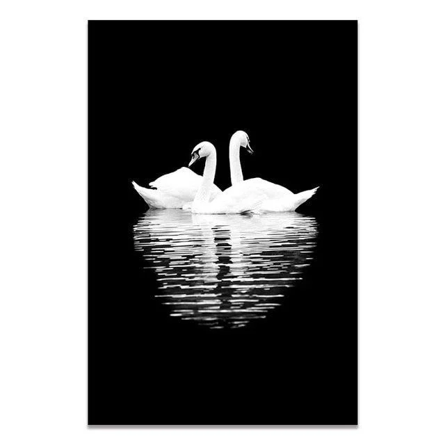 Black & White Wildlife -  - #tag1#
